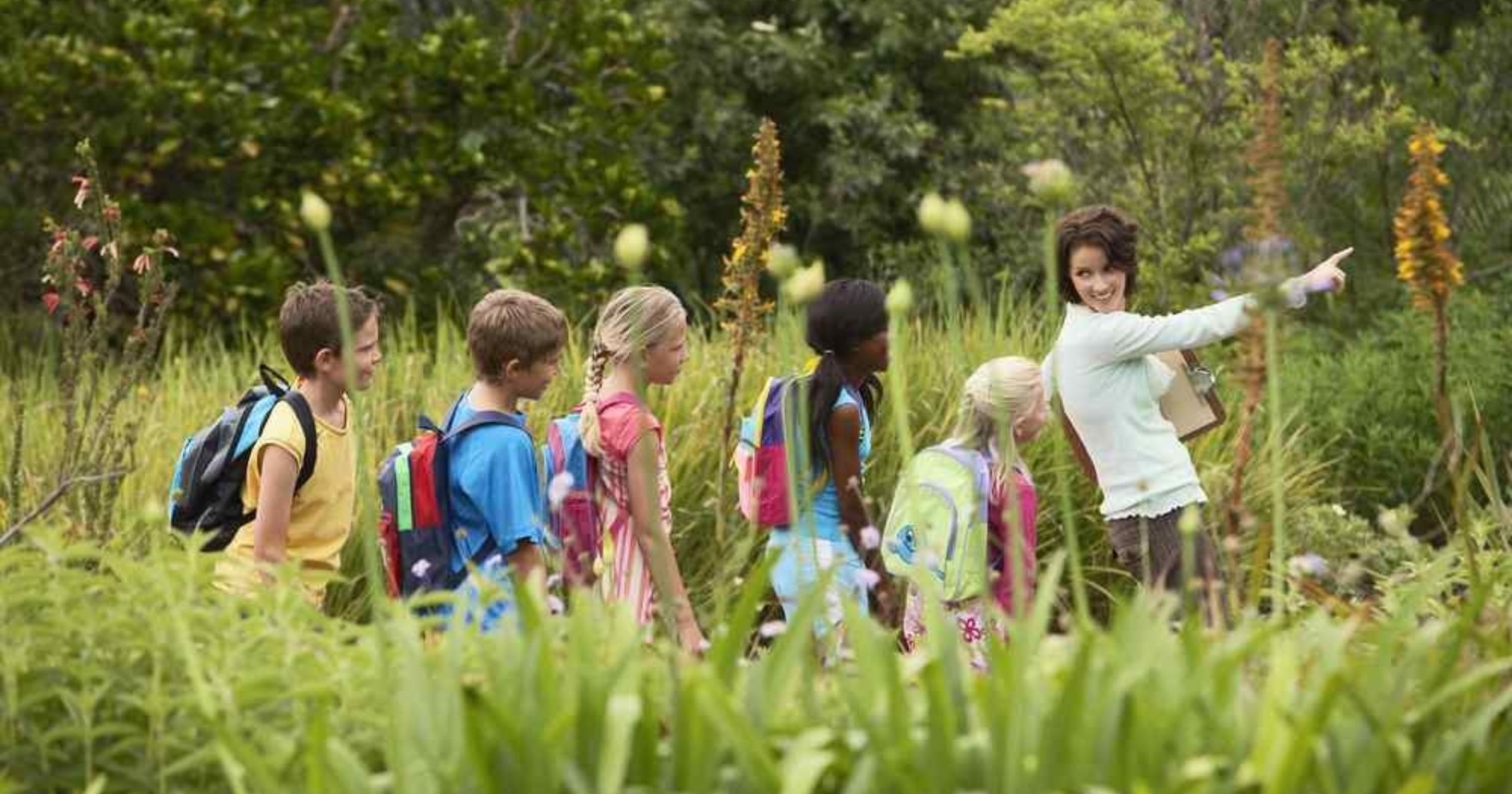  A teacher leads a group of children through a field while teaching them about the plants.